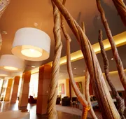 I Hotel And Illinois Conference Center hotel detail image 3