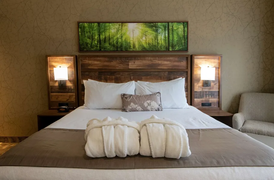 Best Western Plus Valemount Inn & Suites hotel detail image 6