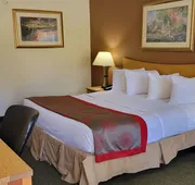 Ramada by Wyndham & Suites Warner Robins hotel detail image 7
