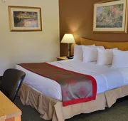 Ramada by Wyndham & Suites Warner Robins hotel detail image 7