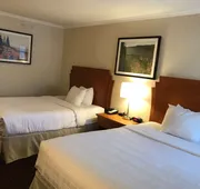 Best Western Thunder Bay Crossroads hotel detail image 7