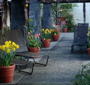 Roman Spa Hot Springs Resort hotel detail image 5