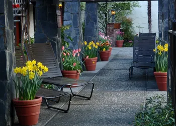Roman Spa Hot Springs Resort hotel thumbnail 5