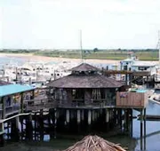 The Conch House Marina Resort hotel detail image 3