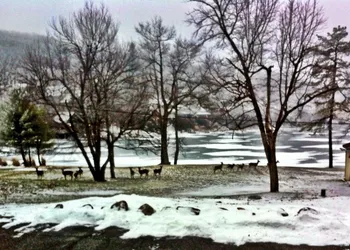 Lake Harmony Inn hotel thumbnail 5