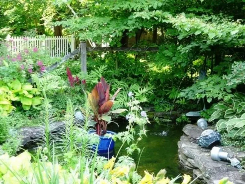 The Lilac Inn hotel detail image 6