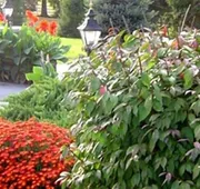 West Ridge Bed and Breakfast hotel detail image 7