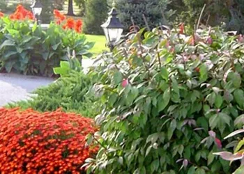 West Ridge Bed and Breakfast hotel thumbnail 7