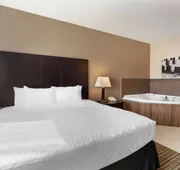 Best Western Plus Peace River Hotel & Suites hotel detail image 7