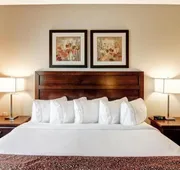 Tisdale Canalta Hotel hotel detail image 7