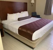 Best Western Desert Oasis hotel detail image 5