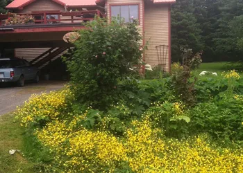 Whalesong Bed and Breakfast hotel thumbnail 3