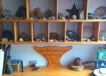 Whalesong Bed and Breakfast hotel thumbnail 7