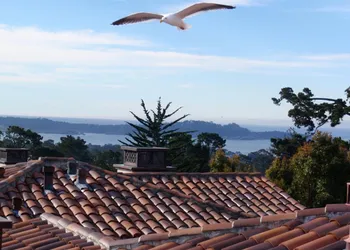 Horizon Inn and Ocean View Lodge hotel thumbnail 6
