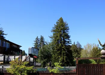 The Woods Hotel - Gay LGBTQ Cabins hotel thumbnail 3