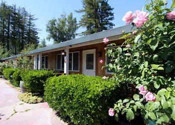 The Woods Hotel - Gay LGBTQ Cabins hotel thumbnail 7