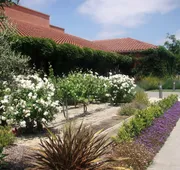 DoubleTree by Hilton Sonoma - Wine Country hotel detail image 7