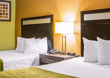Sunset Palm Hotel hotel thumbnail 7