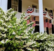 Allegiance Bed and Breakfast hotel detail image 3