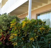 The Palms On Ocean hotel detail image 7
