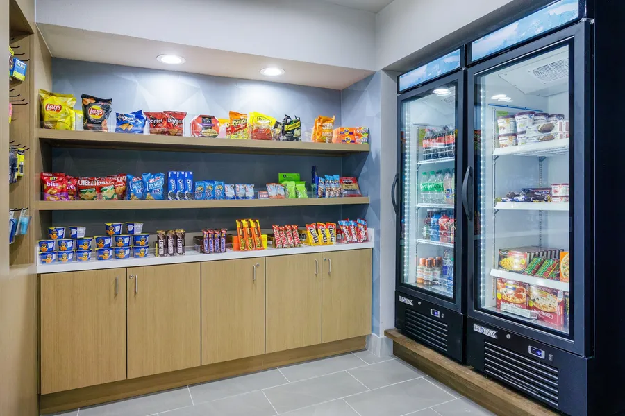 Holiday Inn Express & Suites Tampa Stadium – Airport Area by IHG hotel detail image 6