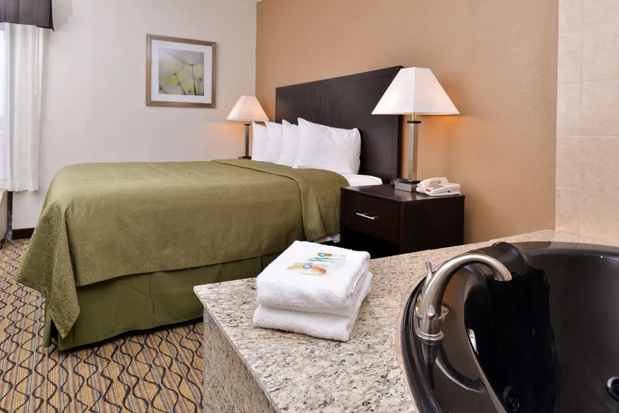 Quality Inn & Suites Matteson near I-57 hotel detail image 6
