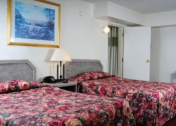 Amber Inn hotel thumbnail 5