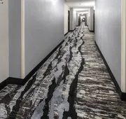 Quality Inn & Suites Danville East hotel detail image 4