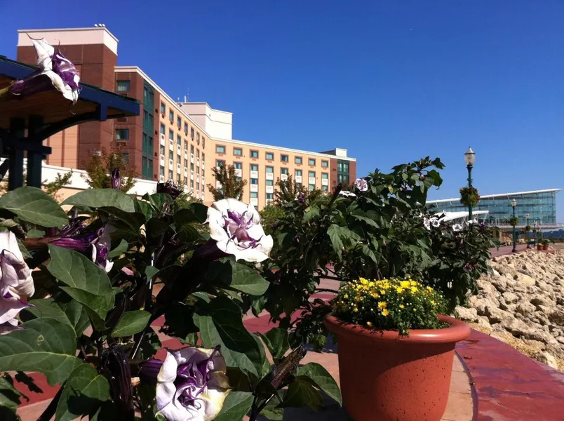 Grand Harbor Resort and Waterpark hotel detail image 6