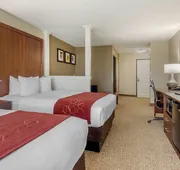 Comfort Suites Speedway - Kansas City hotel detail image 3