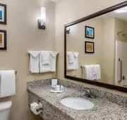 Comfort Suites Speedway - Kansas City hotel detail image 4