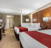Comfort Suites Speedway - Kansas City hotel detail image 7