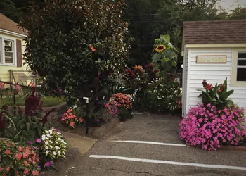 Bay Top Motel hotel thumbnail 5