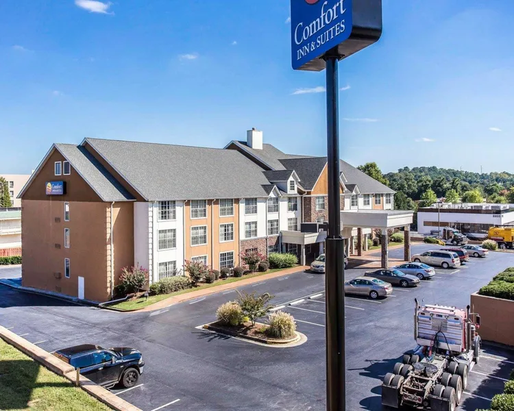 Comfort Inn & Suites Ballpark Area hotel detail image 2