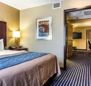 Comfort Inn & Suites Ballpark Area hotel detail image 5
