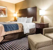 Comfort Inn & Suites Ballpark Area hotel detail image 7