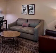 Hilton Garden Inn St. Louis Airport hotel detail image 3