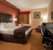 Best Western Mulberry Hotel hotel detail image 7