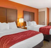 Comfort Inn Greensboro - Kernersville hotel detail image 3