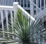 Blue Wave Inn hotel detail image 3