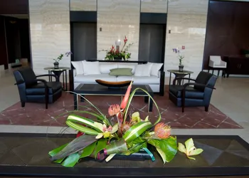 Jet Luxury @ The Trump Waikiki hotel thumbnail 8