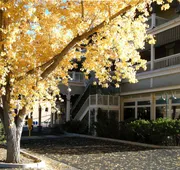 The General Palmer Hotel hotel detail image 3