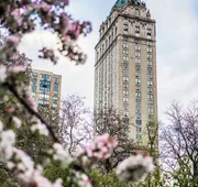 The Pierre, A Taj Hotel, New York hotel detail image 7