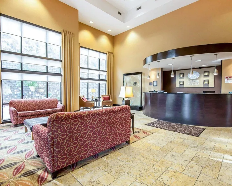 Comfort Suites hotel detail image 6