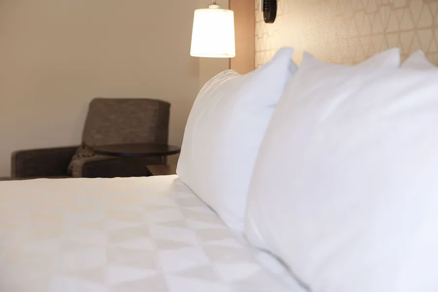Holiday Inn & Suites St. Cloud by IHG hotel detail image 6