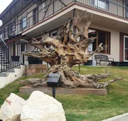 Bristlecone Motel hotel detail image 7