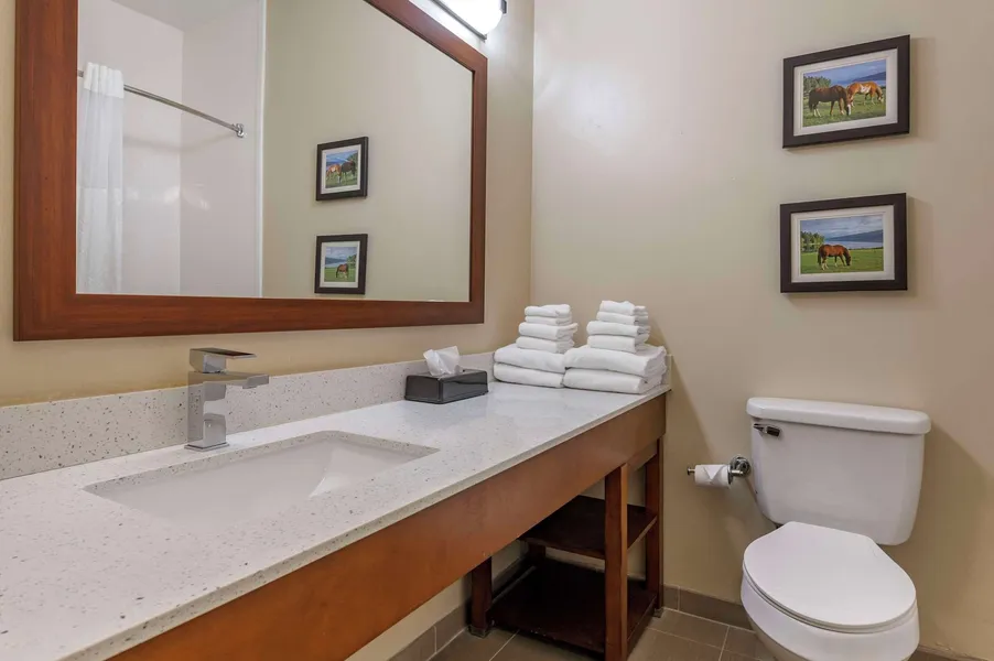 Comfort Suites Keeneland hotel detail image 6