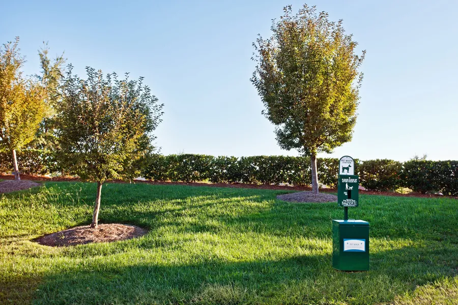 Staybridge Suites Charlotte Ballantyne by IHG hotel detail image 6