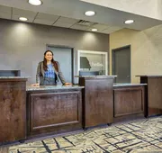Hampton Inn Norfolk-Naval Base hotel detail image 5