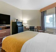 Comfort Inn & Suites Market - Airport hotel detail image 5
